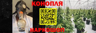 гашиш Тара